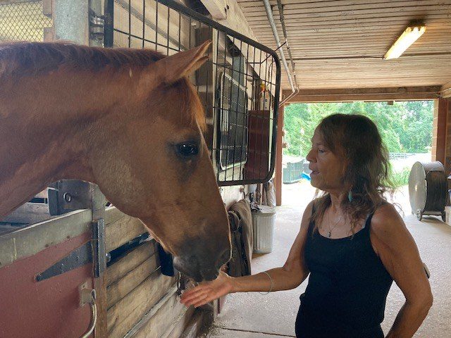 Donna Sue Rosenthal reaching out to a chestnut horse in a sunlit barn